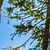 Недорогие Печать на холсте-С картинкой Роликовые холсты - Пейзаж Цветочные мотивы / ботанический Modern Репродукции