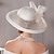 cheap Party Hats-Feather Headpiece Wedding Special Occasion Casual Outdoor Fascinators Hats 1 Piece