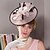 voordelige Hoeden &amp; Hoofdstukken-fascinators hoed Hoofdkleding Veer Schotel Hoed Bruiloft Melbourne Cup Met Bloemen Helm Hoofddeksels