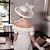 Χαμηλού Κόστους Καπέλα για Πάρτι-Φτερό Headpiece-Γάμου Ειδική Περίσταση Causal Διακοσμητικά Κεφαλής Καπέλα 1 Τεμάχιο