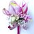 baratos Bouquets de Flores para Noiva-Bouquets de Noiva Alfinetes de Lapela Casamento / Festa / Noite Cetim 9.84&quot;(Aprox.25cm)