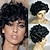 cheap Synthetic Trendy Wigs-Synthetic Wig Curly Curly Wig Short Jet Black Synthetic Hair Women&#039;s Black MAYSU