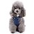 voordelige Hondenkleding-Kat Hond Jumpsuits Hondenkleding Brits Blauw Denim Kostuum Voor Lente &amp; Herfst Winter Heren Dames Cowboy Casual / Dagelijks Modieus