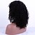 levne Paruky z lidských vlasů-Human Hair Glueless Lace Front Lace Front Wig Peruvian Hair Kinky Curly Wig 130% Density with Baby Hair Natural Hairline African American Wig 100% Hand Tied Women&#039;s Short Medium Length Long Human
