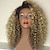 cheap Human Hair Full Lace Wigs-Human Hair Glueless Full Lace Full Lace Wig Rihanna style Brazilian Hair Kinky Curly Ombre Wig 150% Density with Baby Hair Ombre Hair Natural Hairline African American Wig 100% Hand Tied Women&#039;s