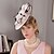 preiswerte Faszinator-Fascinatoren Hüte Kopfbedeckungen Feder Untertassen-Hut Hochzeit Melbourne-Cup Mit Blumig Kopfschmuck Kopfbedeckung