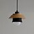 זול אורות אי-1-Light 22 cm LED Pendant Light PVC Painted Finishes Modern Contemporary 110-120V / 220-240V