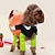 levne Oblečky pro psy-Kočka Pes Kostýmy Zima Oblečení pro psy Duhová Kostým Bavlna Komiks Klasické cosplay Běžné / Denní S M L