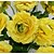 billiga Artificiell Blomma-Konstgjorda blommor 10 Gren Europeisk Stil Pioner Bordsblomma
