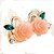 cheap Earrings-Women&#039;s Stud Earrings Flower Ladies Earrings Jewelry Purple / Yellow / Pink For Party Wedding Daily