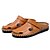 cheap Men&#039;s Clogs &amp; Mules-Men&#039;s Shoes Other Animal Skin Summer Light Soles Clogs &amp; Mules For Casual Black Brown Blue