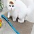 cheap Cat Toys-Catnip Interactive Scratching Board Cat 1 Scratch Pad Paper Gift Pet Toy