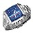 levne Mechanické hodinky-Pánské Náramkové hodinky mechanické hodinky Automatické natahování Nerez Stříbro Kalendář Analogové Luxus - Černá