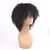 cheap Synthetic Trendy Wigs-Synthetic Wig Curly Synthetic Hair African American Wig Black Wig Women&#039;s Medium Length Capless