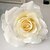 billige Kunstig blomst-Kunstige blomster 10 Afdeling Moderne Stil Roser Bordblomst