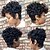 preiswerte Trendige synthetische Perücken-Synthetische Perücken Locken Locken Perücke Kurz Schwarz Synthetische Haare Damen Gefärbte Haarspitzen (Ombré Hair) Schwarz Braun