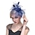 levne Fascinátory-tyl / peří / síť fascinators kentucky derby klobouk / pokrývka hlavy s květinovým 1ks svatební / zvláštní příležitost / dostihová pokrývka hlavy