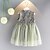 cheap Dresses-Girls&#039; Lace Daily Solid Colored Sleeveless Dress Green