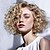 cheap Synthetic Trendy Wigs-short ombre bouncy curly wigs for black women naturally synthetic black to blonde color hair heat resistant synthetic wig