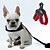 levne Ошейники, поводки и упряжки для собак-Cat Dog Harness Leash Breathable Adjustable / Retractable LCD Display Running Safety Solid Colored Mesh Black Red