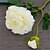 olcso Művirág-Művirágok 10 Ág Európai stílus Bazsarózsák Asztali virág