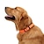 お買い得  犬用首輪＆ハーネス＆リード-犬 カラー 反射 調整可能 携帯用 折り畳み式 安全用具 ソリッド ナイロン ブラック オレンジ グリーン