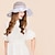 זול כובע מסיבות-משי כובעים עם 1 חתונה / אירוע מיוחד / קזו&#039;אל כיסוי ראש