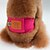 halpa Koiran vaatteet-Koira Housut Koiran vaatteet Yhtenäinen Oranssi Vihreä Sininen Pinkki Puuvilla Asu Lemmikit Miesten Naisten Rento/arki