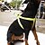 economico Zgărzi &amp; Lese Câini-Cat Dog Harness Leash Reflective Adjustable Portable Breathable Safety Solid Colored Nylon Yellow Orange Green Rose