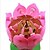 baratos Decorações de Bolo-Decorações de Bolo Florais / Botânicos / Tema Flores / Tema Borboleta Plástico Aniversário com 1 pcs Caixa de Ofertas