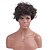 cheap Synthetic Trendy Wigs-prevailing short curly hair hair synthetic wig suitable for all kinds of people