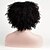 levne Syntetické paruky se síťkou-Syntetické paruky Afro Afro Paruka Krátký Černá Umělé vlasy Dámské Černá