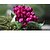 levne Umělé květiny-Umělé květiny 1 Větev evropský styl Tupilán Květina na stůl