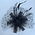 cheap Fascinators-Tulle Blusher Veils / Fascinators Kentucky Derby Hatwith Feather 1 Piece Event / Party / Horse Race / Ladies Day Headpiece