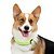 tanie Obroże, uprzęże i smycze dla psów-Psy Kołnierz Odblaskowy Regulowany Przenośny Składany Bezpieczeństwo Solidne kolory Nylon Czarny Pomarańczowy Zielony