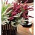 cheap Artificial Flower-Artificial Flowers 1 Branch Pastoral Style Plants Tabletop Flower