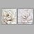 levne Květinové či botanické obrazy-Hang-malované olejomalba Ručně malované - Květinový / Botanický motiv Současný styl Plátno