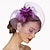 levne Fascinátory-síťové fascinátory kentucky derby klobouk/ pokrývka hlavy s květinovým 1ks svatební / zvláštní příležitost / čelenka na čajový dýchánek