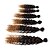 preiswerte Haare häkeln-Geflochtenes Haar Locken / Afrikanische Locken Lockige Zöpfe / Echthaar Haarverlängerungen 100% kanekalon haare Haar Borten Alltag