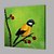cheap Animal Paintings-Oil Painting Hand Painted - Animals Artistic Canvas / Stretched Canvas