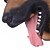 cheap Halloween Party Supplies-New Cool Wolf Dog Full Face Mask Halloween Gifts Eco-Friendly Nature Latex Lifelike Dog Head Mask For Cosplay Party Dress Up