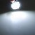 halpa Kaksikantaiset LED-lamput-5pcs 2.5 W LED Bi-Pin lamput 189 lm G4 24 LED-helmet SMD 2835 Lämmin valkoinen Valkoinen 12 V / 5 kpl