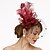 cheap Fascinators-Net Kentucky Derby Hat / Fascinators / Hats with 1 Piece Wedding / Special Occasion / Horse Race Headpiece