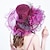 abordables Chapeaux de fête-Plume / Soie / Organza Chapeau Kentucky Derby / Fascinateurs / Chapeaux avec Fleur 1 pc Mariage / Extérieur / Occasion spéciale Casque