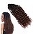 Недорогие Вязаные Крючком Волосы-Pre-петлевые вязания крючком плетенки Накладки из натуральных волос Кудрявый Коробка косичек Омбре 100% волосы канекалона Волосы для кос 30 корней / пакет