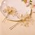 cheap Headpieces-Imitation Pearl Hair Combs / Hair Stick with 1 Wedding / Special Occasion / Birthday Headpiece
