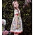 abordables Robes-FILLE Manche Courte Floral Graphique imprimé en 3D Robes Floral Robe
