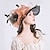 cheap Party Hats-Feather / Silk / Organza Kentucky Derby Hat / Fascinators / Hats with 1 Piece Wedding / Outdoor / Special Occasion Headpiece