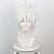 abordables Perruques Halloween-Destin / Apocryphes Amakusa Shiro Tokisada Perruques de Cosplay Homme Femme 16 pouce Fibre résistante à la chaleur Perruque Anime