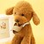 זול Adestramento &amp; Treino de Comportamento para Cães-Dog Muzzle Waterproof Portable Safety Solid Colored Silicone Yellow Pink Coffee